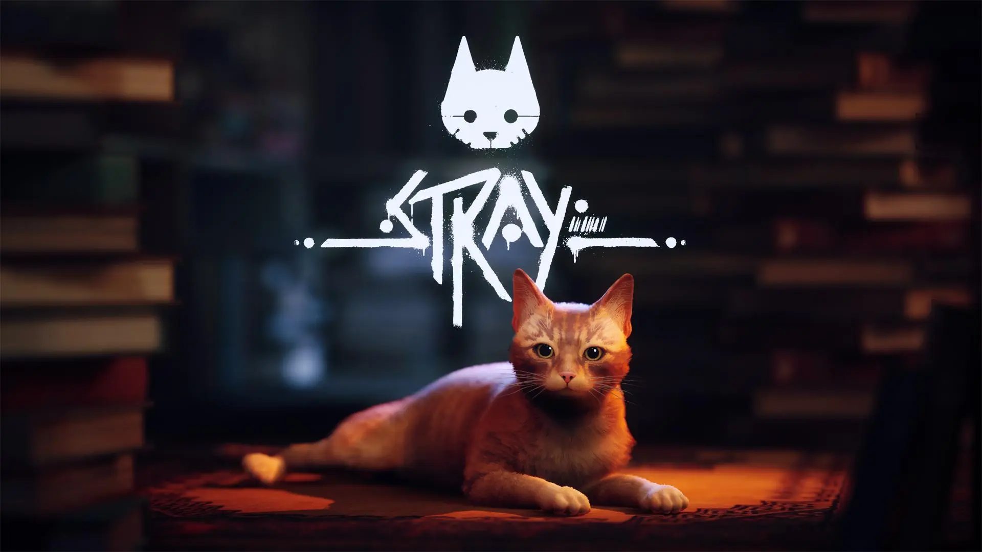 Stray Nintendo Switch