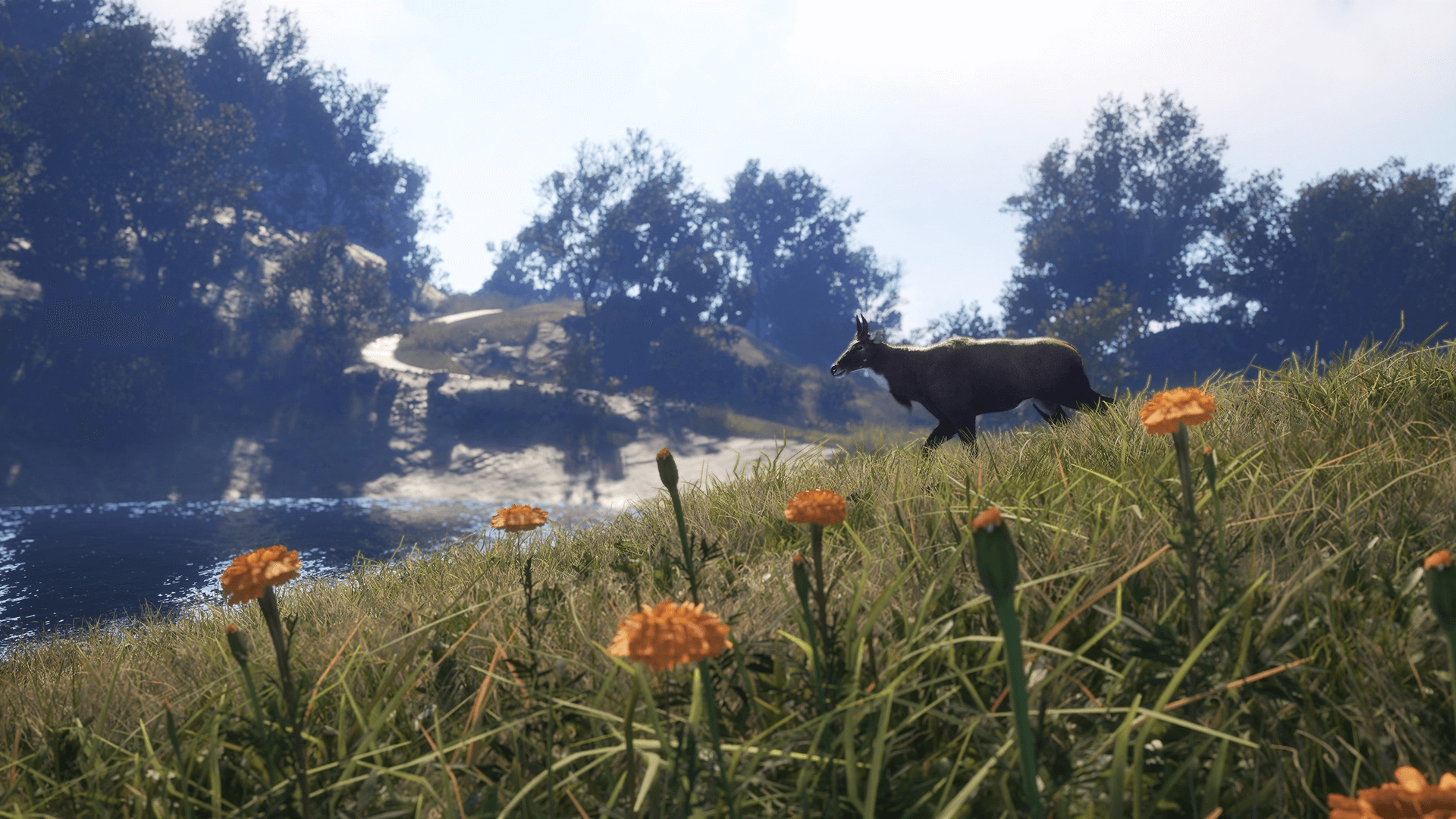 theHunter: Call of the Wild™ - Sundarpatan Nepal Hunting Reserve  for sale in Emirates from Games2all