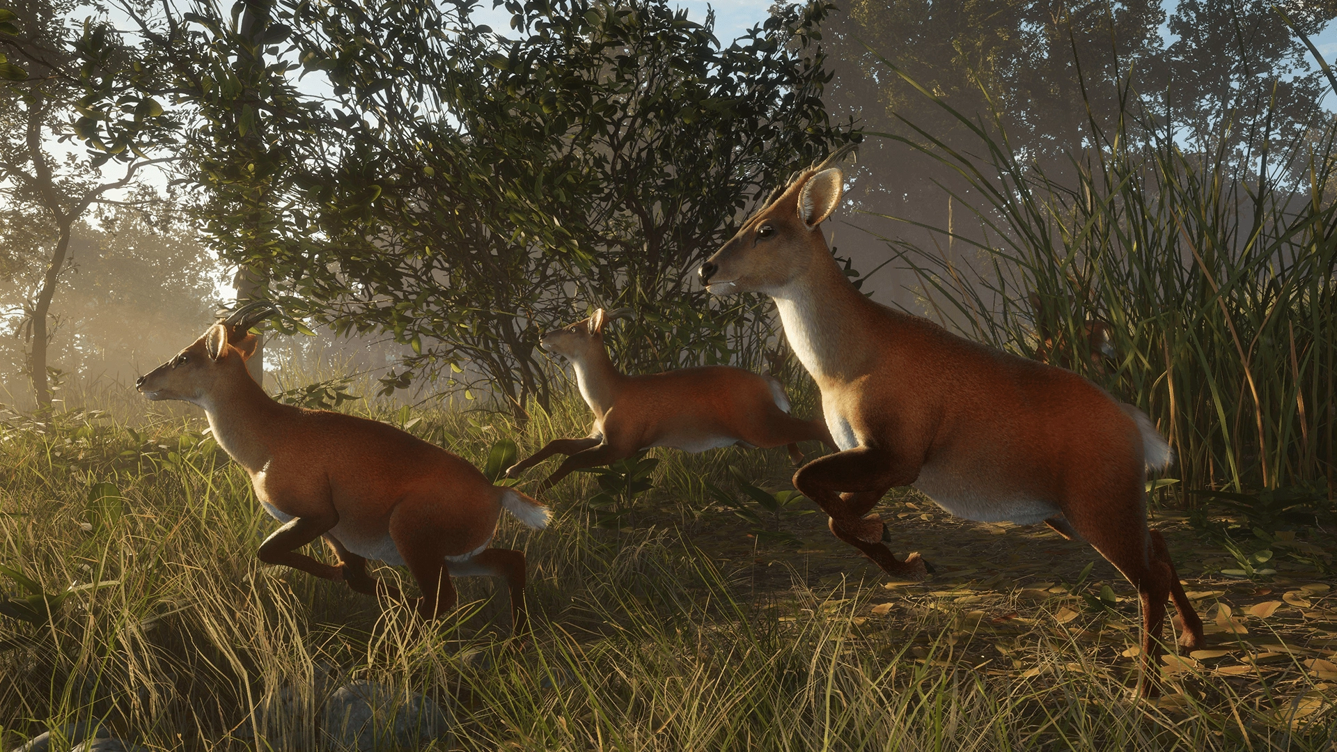 theHunter: Call of the Wild™ - Sundarpatan Nepal Hunting Reserve  for sale in Emirates from Games2all