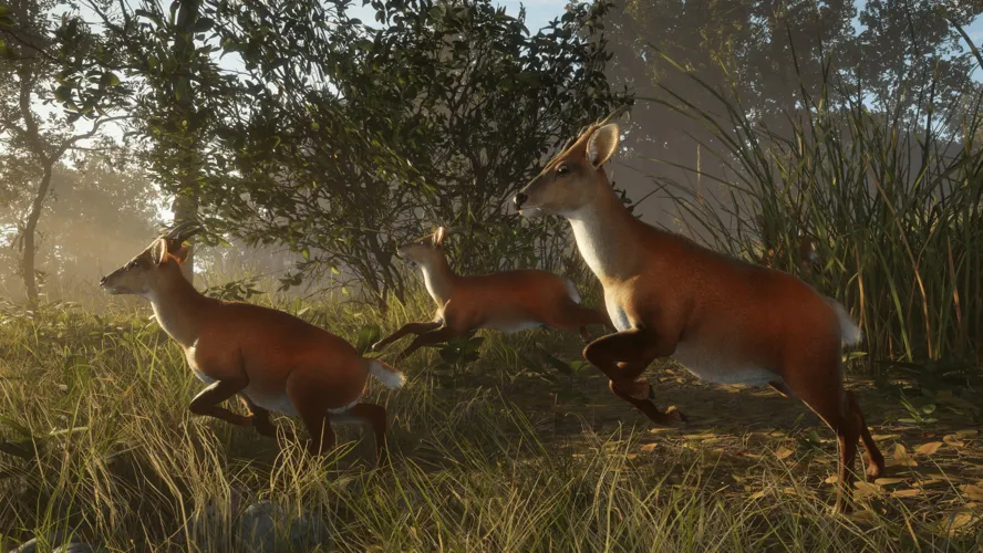 theHunter: Call of the Wild™ - Sundarpatan Nepal Hunting Reserve  للبيع في الامارات من خلال Games2all