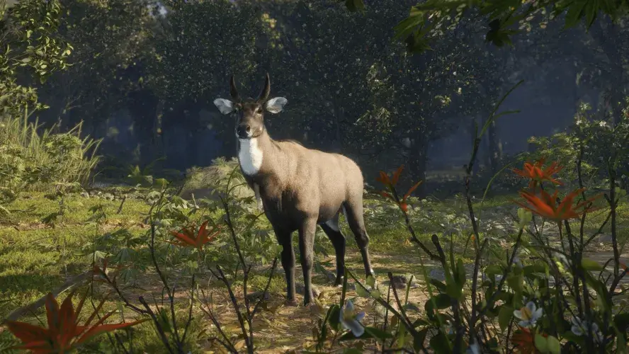 theHunter: Call of the Wild™ - Sundarpatan Nepal Hunting Reserve  للبيع في الامارات من خلال Games2all