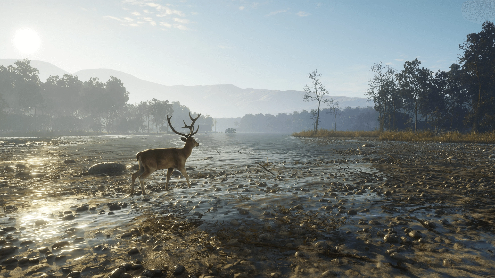 theHunter: Call of the Wild™ - Sundarpatan Nepal Hunting Reserve  for sale in Emirates from Games2all