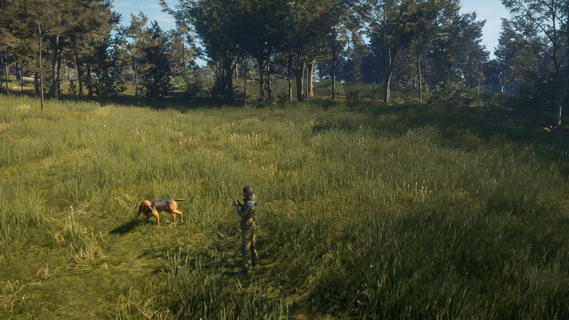 theHunter: Call of the Wild™ - Bloodhound  for sale in Emirates from Games2all