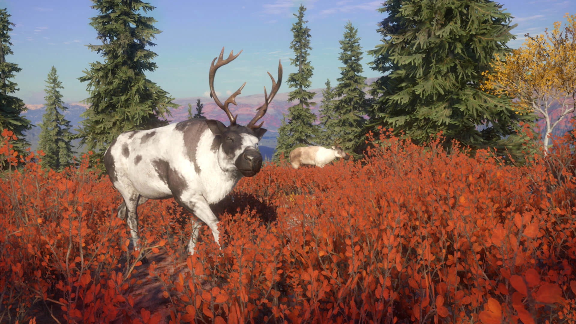 theHunter: Call of the Wild™ - Yukon Valley  for sale in Emirates from Games2all