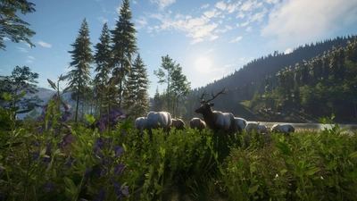 theHunter: Call of the Wild™ - Silver Ridge Peaks  for sale in Emirates from Games2all