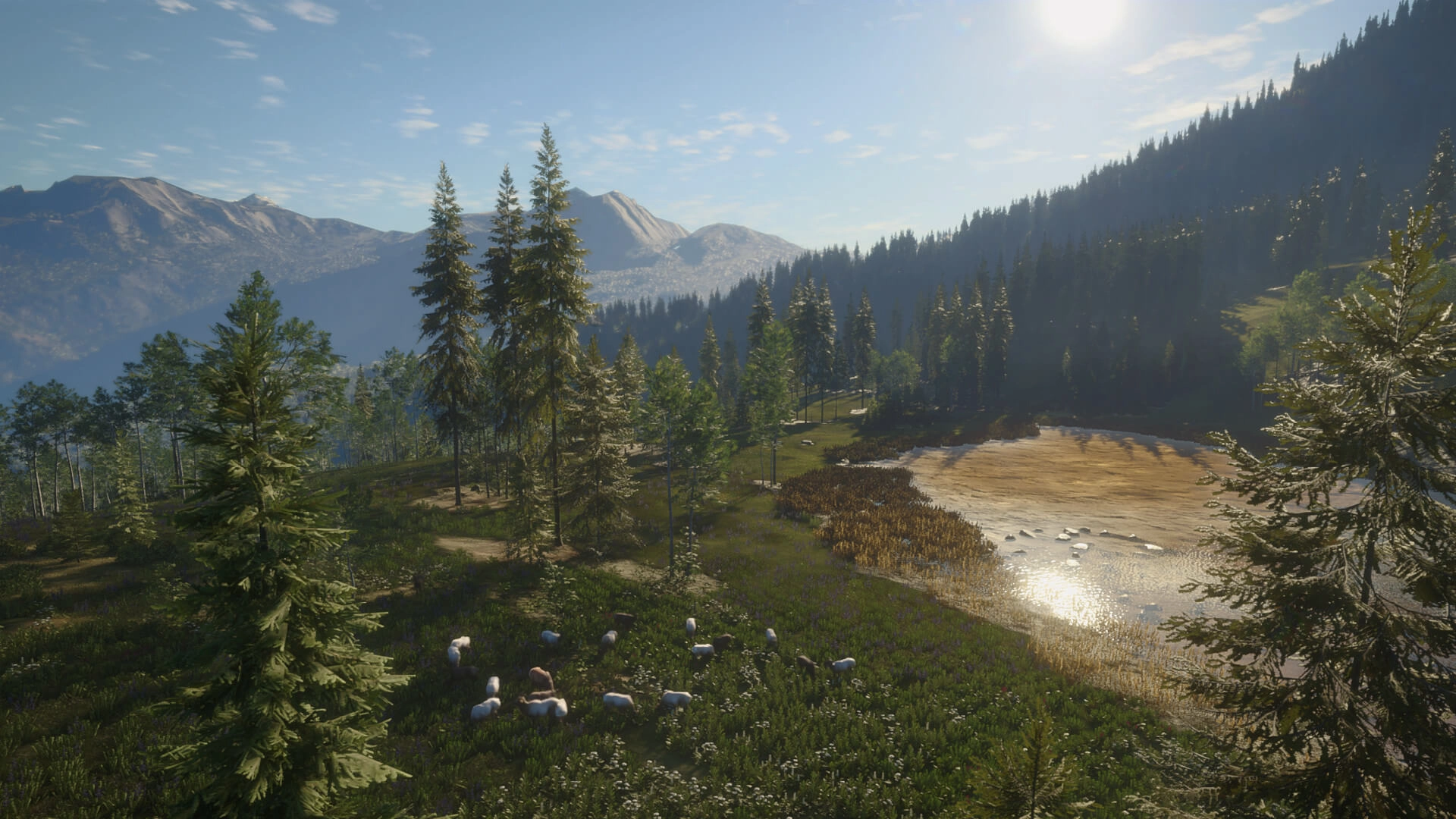 theHunter: Call of the Wild™ - Silver Ridge Peaks  for sale in Emirates from Games2all