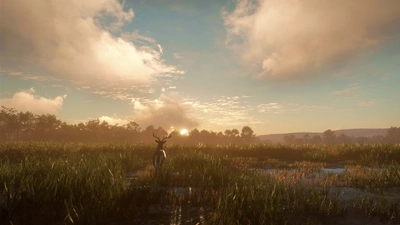 theHunter: Call of the Wild™ - Mississippi Acres Preserve  for sale in Emirates from Games2all