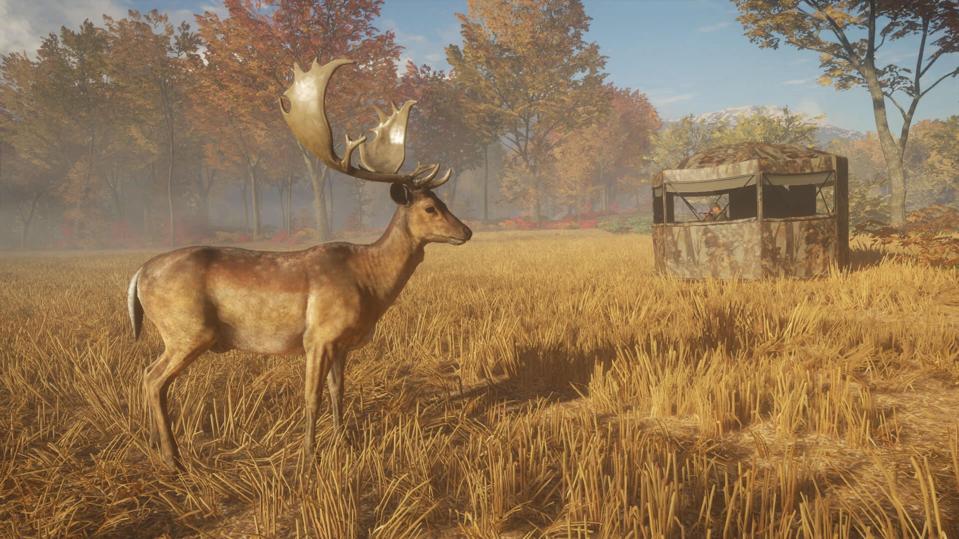 theHunter: Call of the Wild™ - Tents & Ground Blinds  for sale in Emirates from Games2all