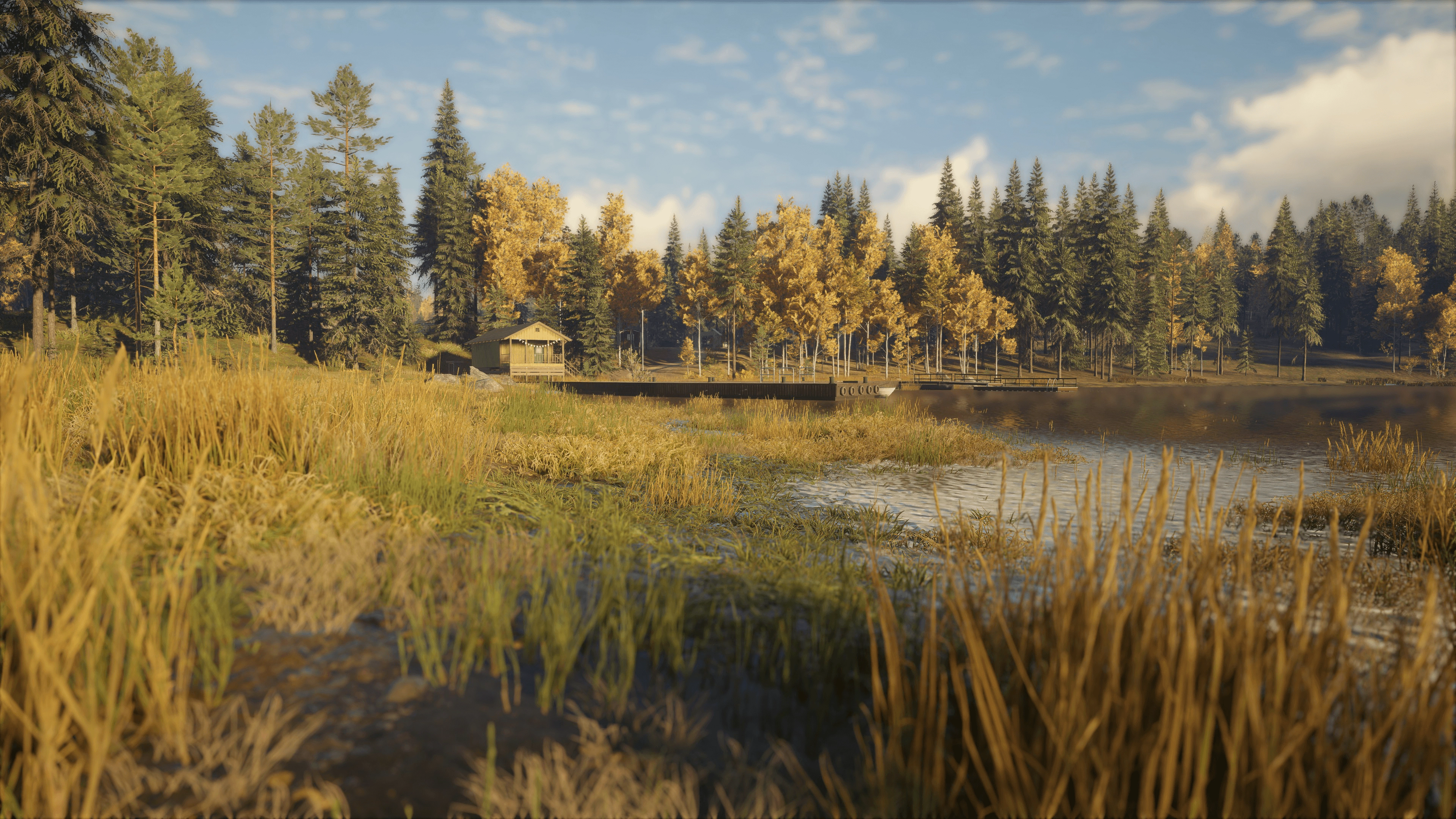 theHunter: Call of the Wild™ - Revontuli Coast  for sale in Emirates from Games2all