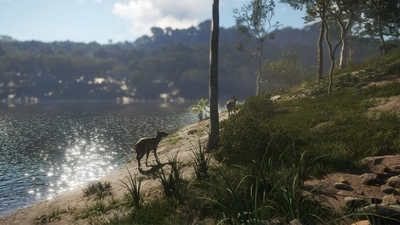 theHunter: Call of the Wild™ - Emerald Coast Australia  for sale in Emirates from Games2all