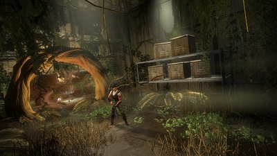 Secret World Legends: Dawn of the Morninglight Collector’s Edition  for sale in Emirates from Games2all