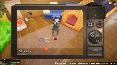 Animal Shelter  للبيع في الامارات من خلال Games2all