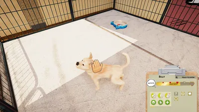 Animal Shelter - Puppies & Kittens DLC  للبيع في الامارات من خلال Games2all