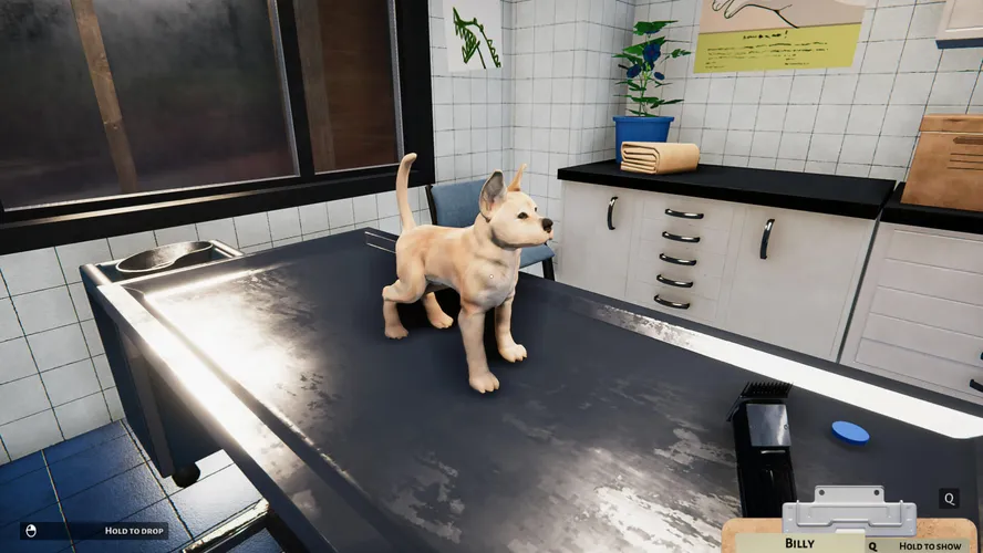 Animal Shelter - Puppies & Kittens DLC  للبيع في الامارات من خلال Games2all