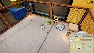 Animal Shelter - Puppies & Kittens DLC  للبيع في الامارات من خلال Games2all