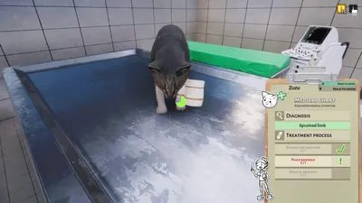 Animal Shelter - Vet Clinic DLC  للبيع في الامارات من خلال Games2all