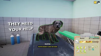 Animal Shelter - Vet Clinic DLC  للبيع في الامارات من خلال Games2all