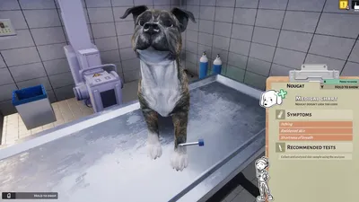 Animal Shelter - Vet Clinic DLC  for sale in Emirates from Games2all