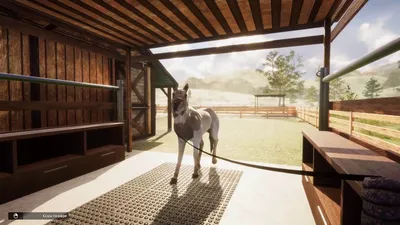 Animal Shelter - Horse Shelter DLC  للبيع في الامارات من خلال Games2all