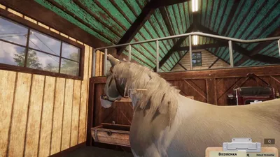 Animal Shelter - Horse Shelter DLC  للبيع في الامارات من خلال Games2all