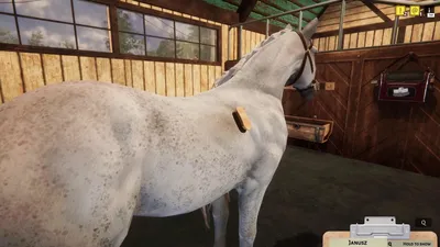 Animal Shelter - Horse Shelter DLC  للبيع في الامارات من خلال Games2all