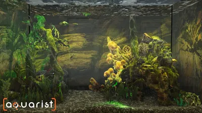 Aquarist  للبيع في الامارات من خلال Games2all