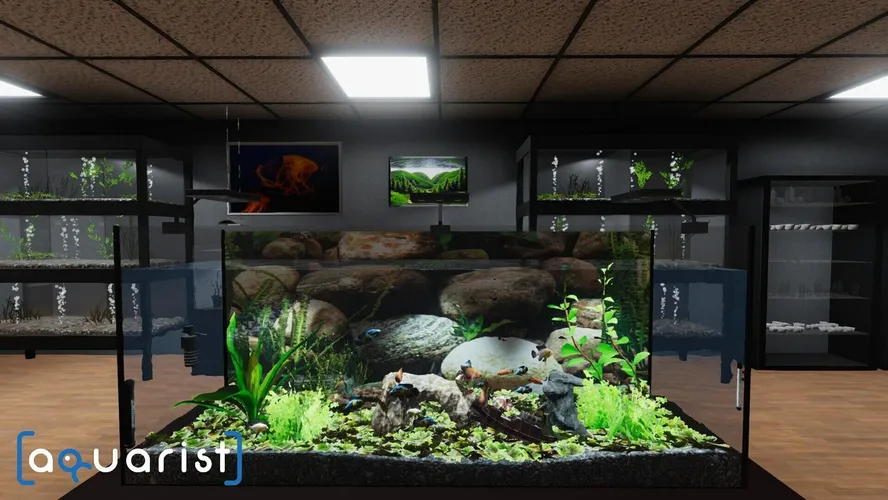 Aquarist  للبيع في الامارات من خلال Games2all