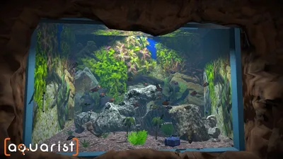 Aquarist  للبيع في الامارات من خلال Games2all