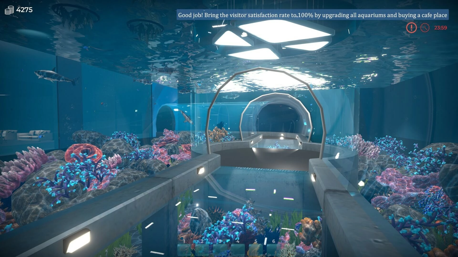 Aquarist  for sale in Emirates from Games2all