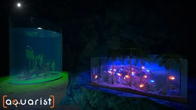 Aquarist  للبيع في الامارات من خلال Games2all