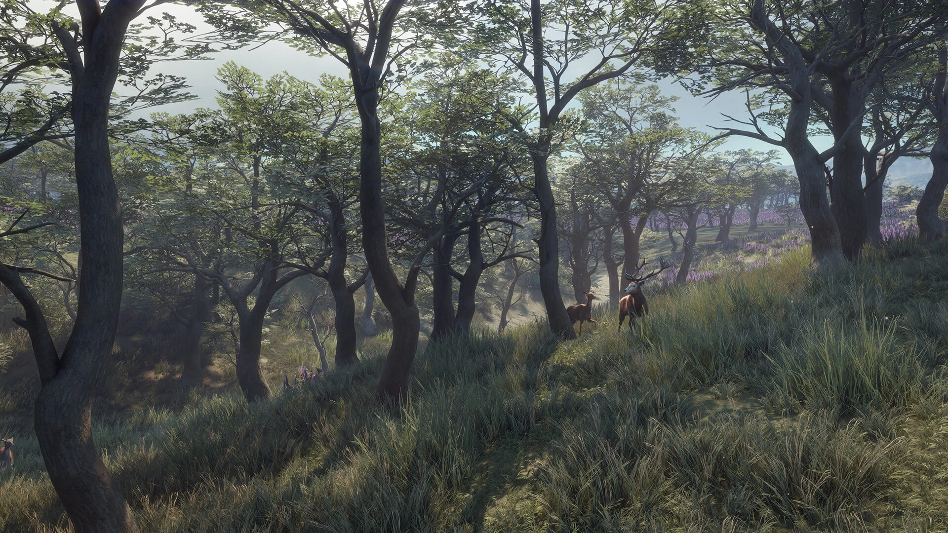 theHunter: Call of the Wild™ - Parque Fernando  for sale in Emirates from Games2all