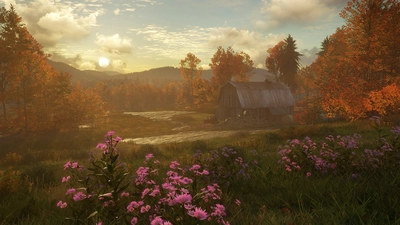 theHunter: Call of the Wild™ - New England Mountains  for sale in Emirates from Games2all