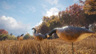 theHunter: Call of the Wild™ - Wild Goose Chase Gear  للبيع في الامارات من خلال Games2all