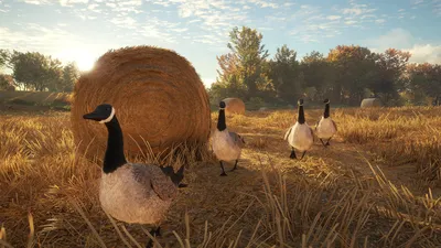 theHunter: Call of the Wild™ - Wild Goose Chase Gear  للبيع في الامارات من خلال Games2all