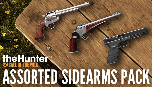 theHunter: Call of the Wild™ - Assorted Sidearms Pack  for sale in Emirates from Games2all