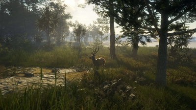 theHunter: Call of the Wild™ - Te Awaroa National Park  for sale in Emirates from Games2all