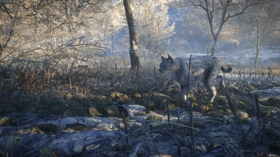 theHunter: Call of the Wild™ - Medved-Taiga  for sale in Emirates from Games2all