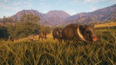 theHunter: Call of the Wild™ - Rancho del Arroyo  للبيع في الامارات من خلال Games2all