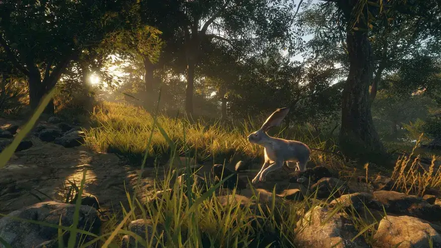 theHunter: Call of the Wild™ - Rancho del Arroyo  للبيع في الامارات من خلال Games2all